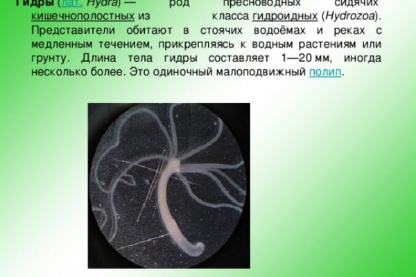 Кракен вход ссылка kraken torion net