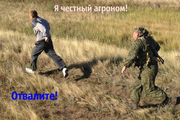 Что такое кракен в даркнете