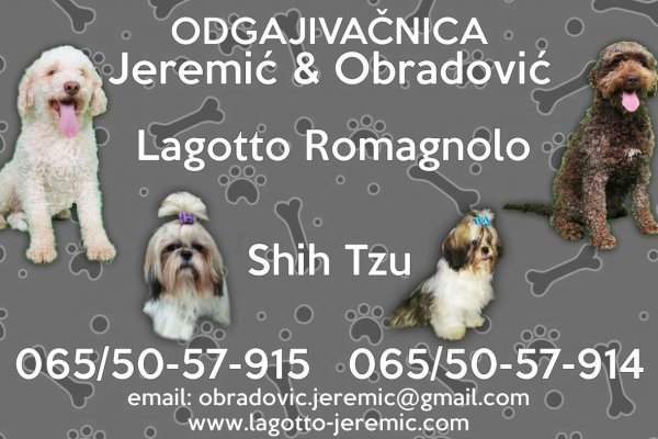 Пользователь не найден кракен что делать