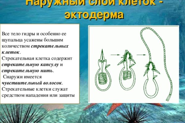 Кракен ссылка рп