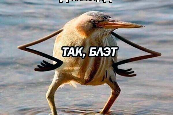 Войти даркнет