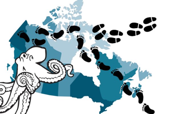 Кракен маркет даркнет тор
