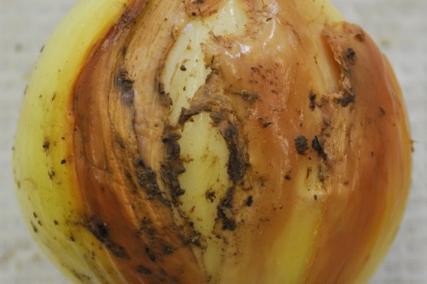 Сайты для даркнета