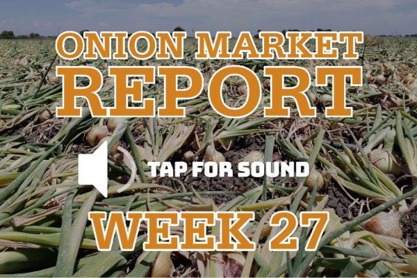 Kraken зеркало krakens13 at