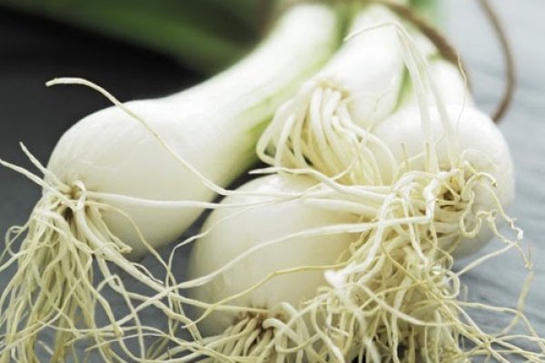 Кракен актуальная ссылка тор