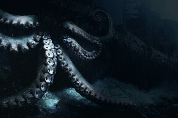 Ссылка для входа на сайт kraken