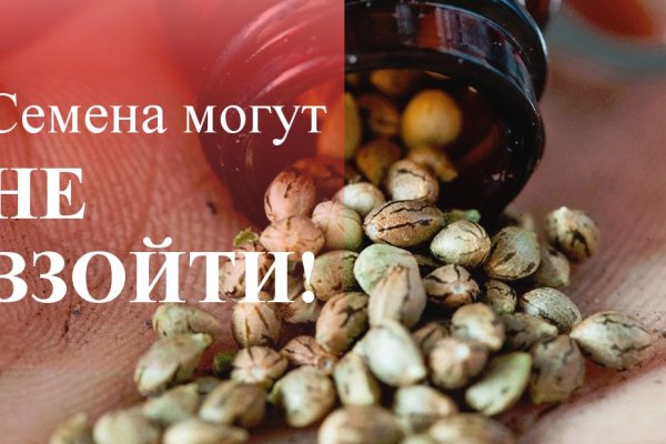 Рабочая ссылка на кракен в торе