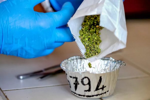 Настоящая ссылка на кракен