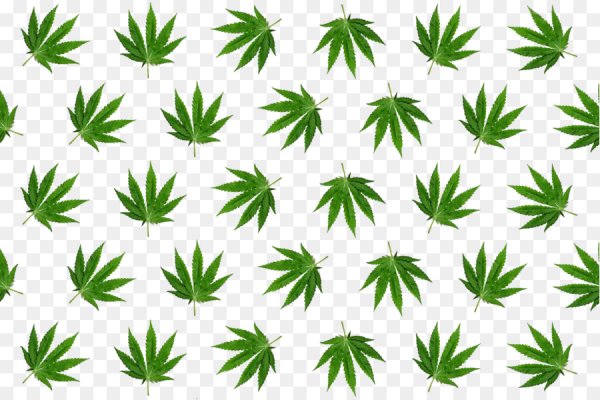 Кракен дарк сайт