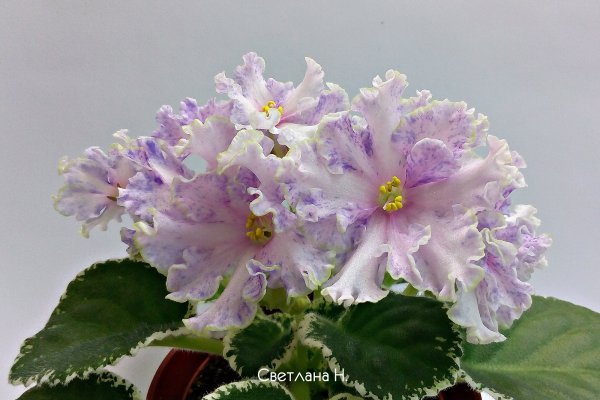 Kra46.at Вход на сайт главная страница