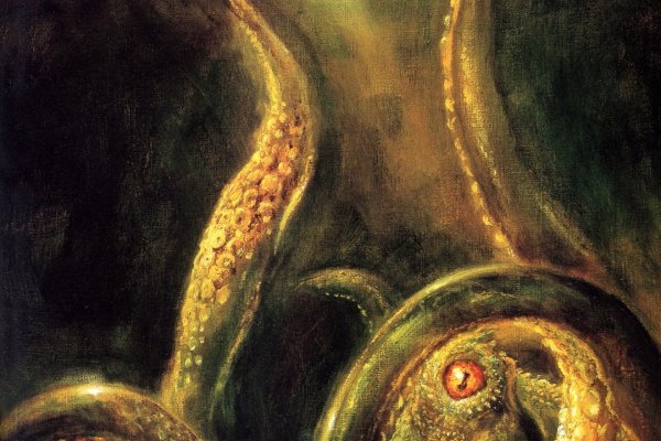 Кракен даркнет только через тор