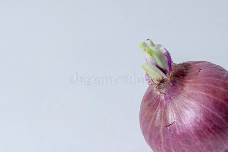 Кракен онион kraken dark link