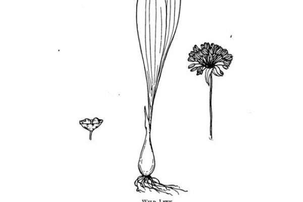 Кракен даркнет маркетплейс
