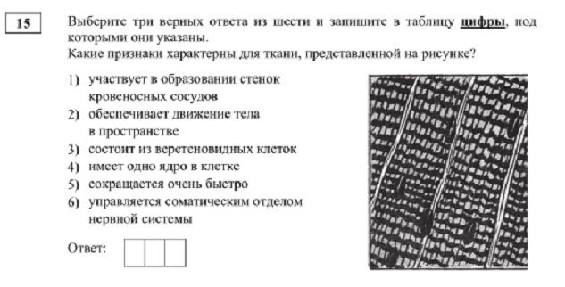 Кракен оригинальные ссылка в тор